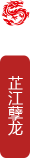 龙舞名字