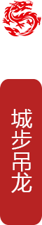 龙舞名字